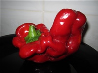 04b6ccce-Paprike čudne 011.JPG